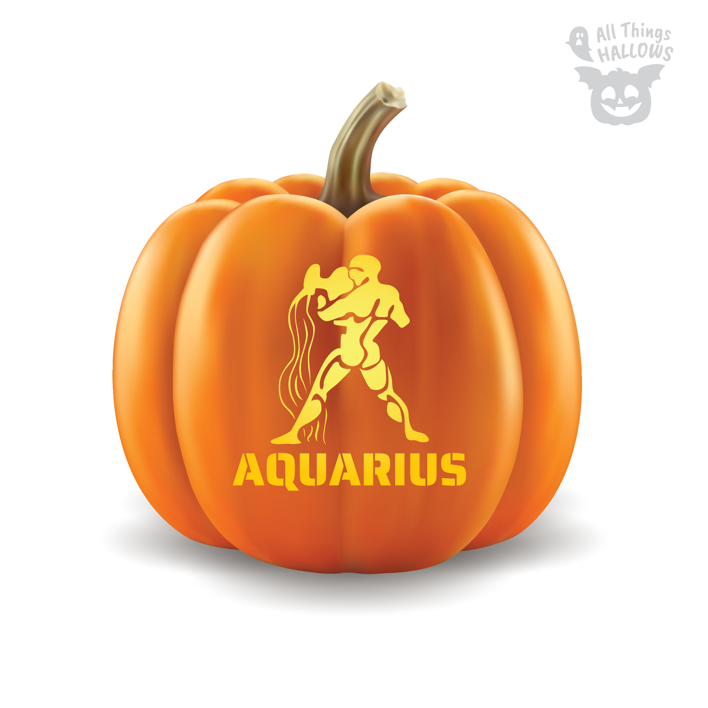 Aquarius Pumpkin Stencil