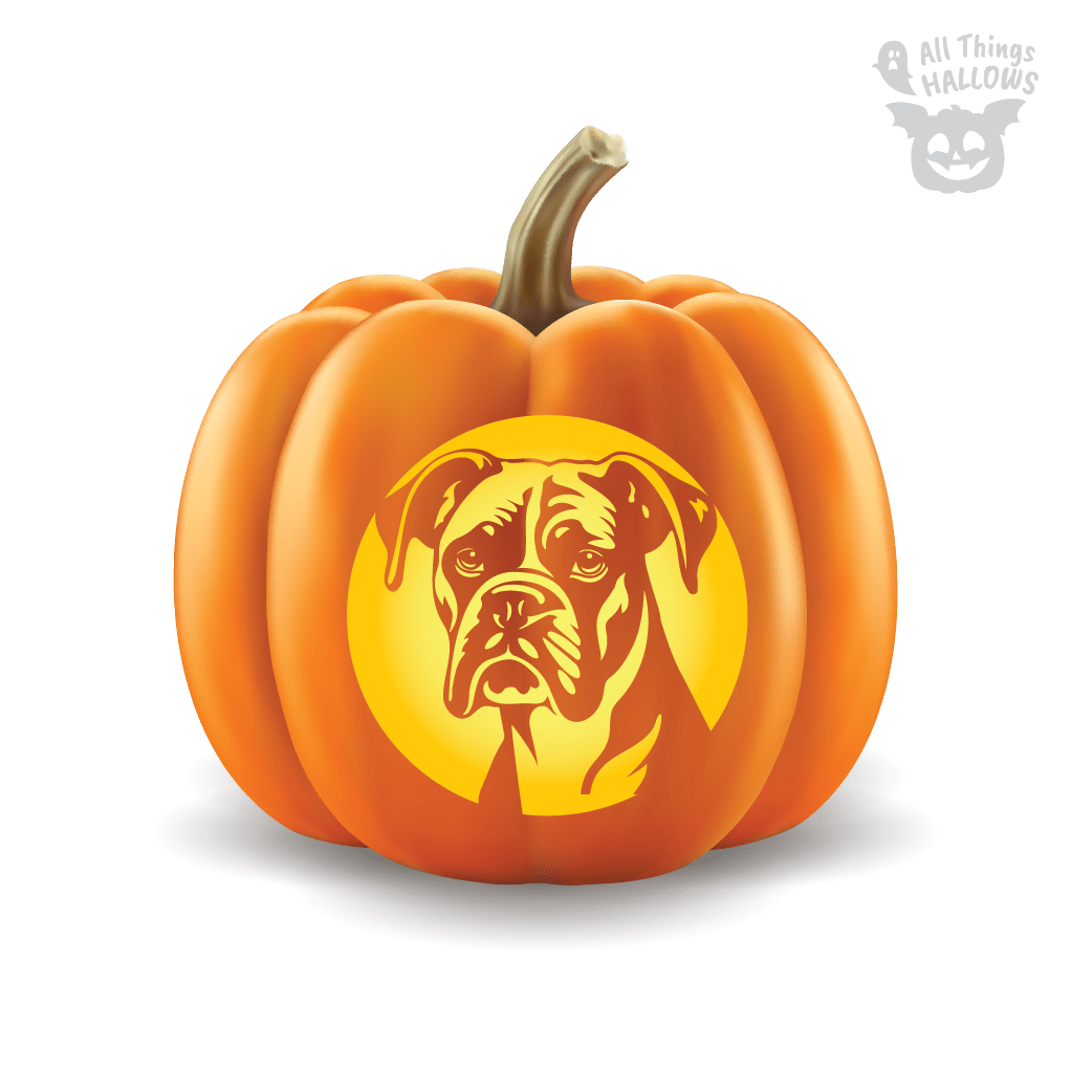 Boxer Pumpkin Stencil