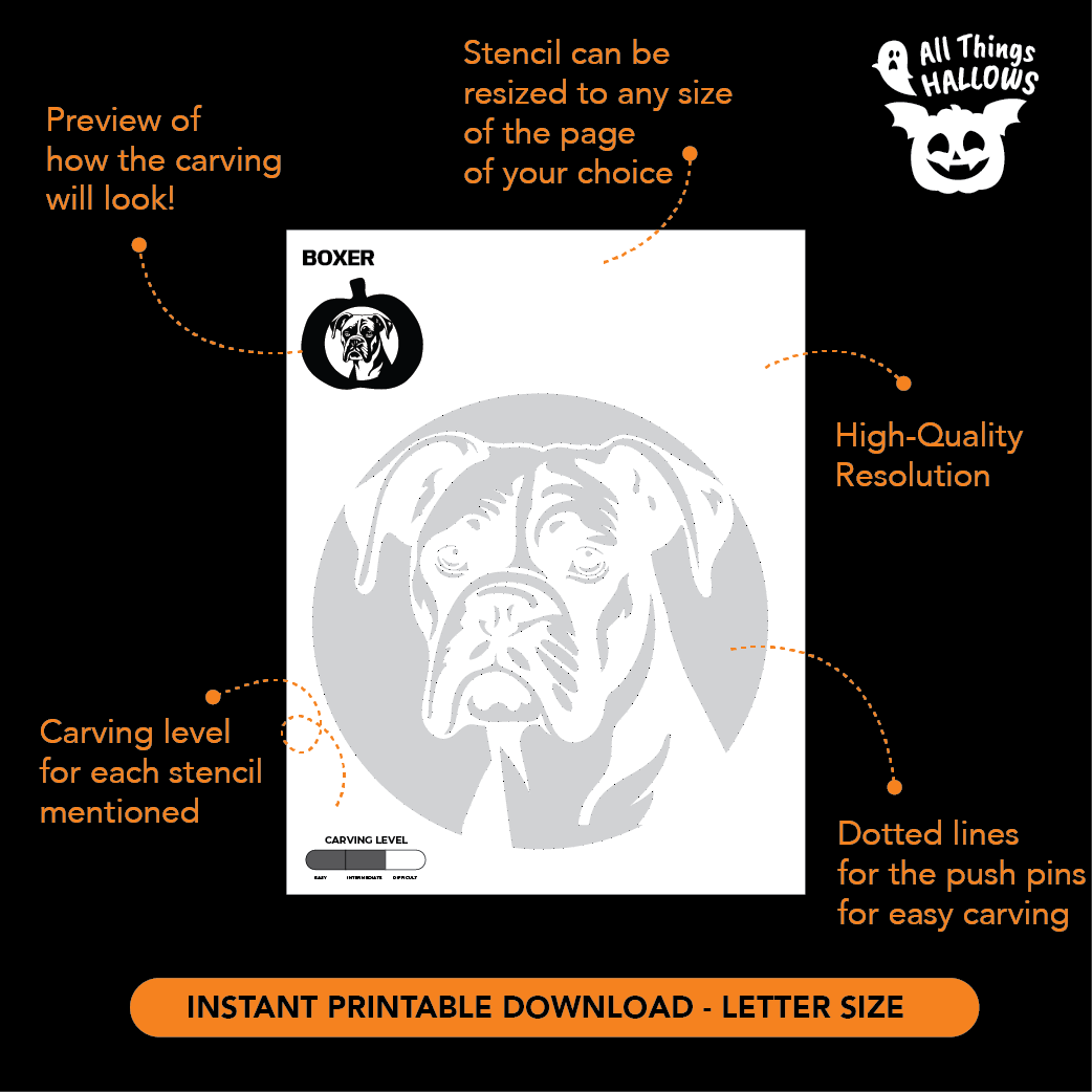 Boxer Pumpkin Stencil