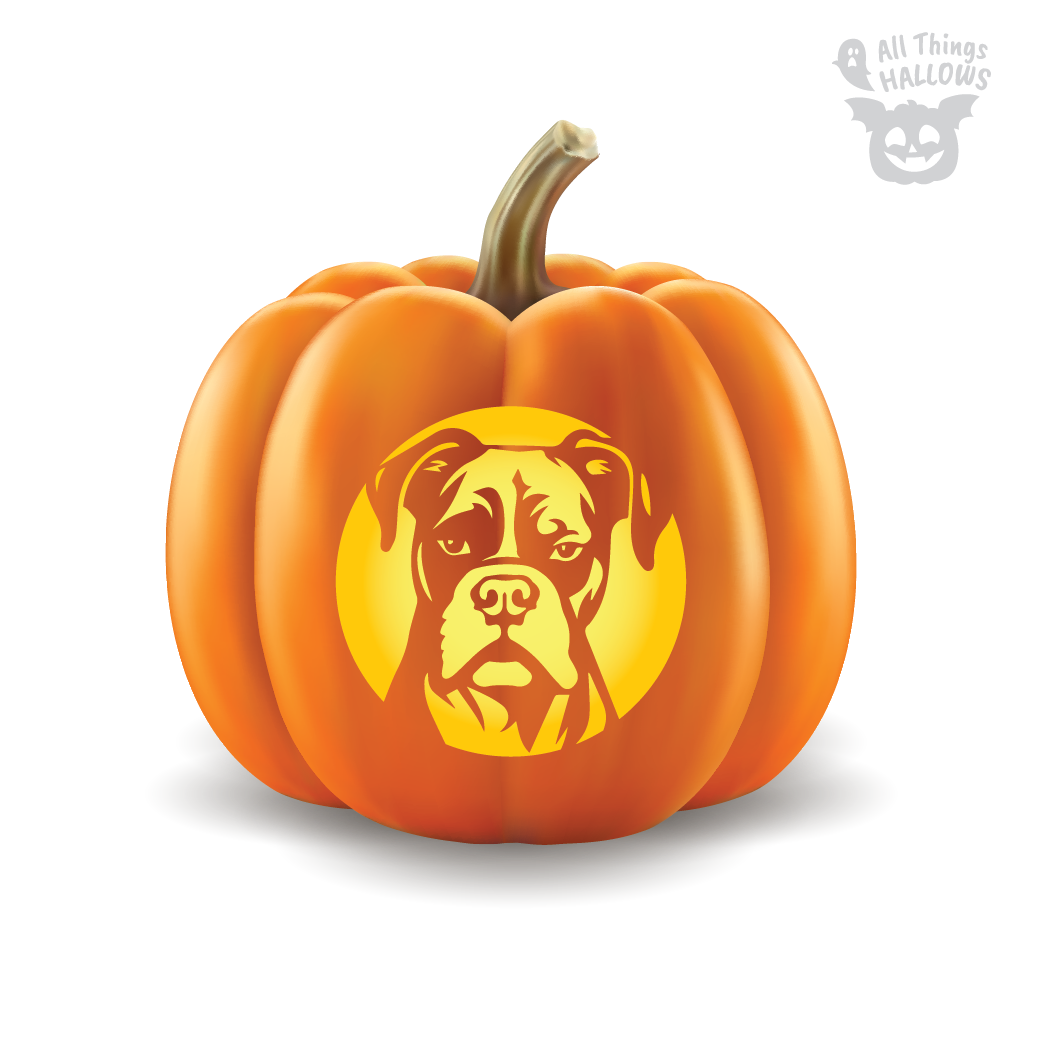 Boxer Pumpkin Stencil