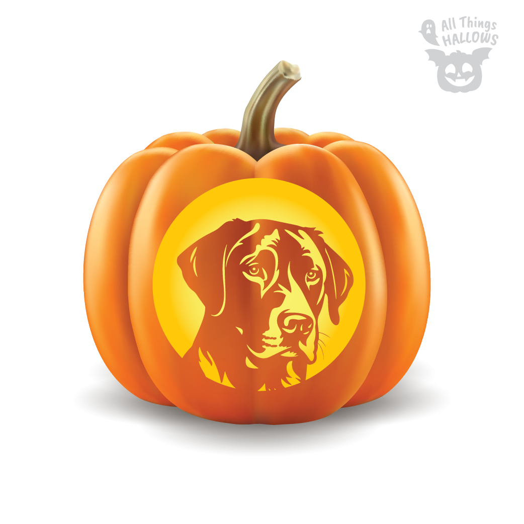 Labrador Pumpkin Stencil