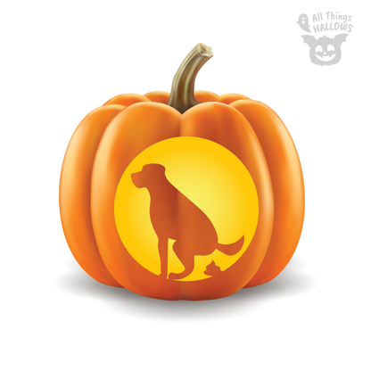 Pumpkin for dogs poop online