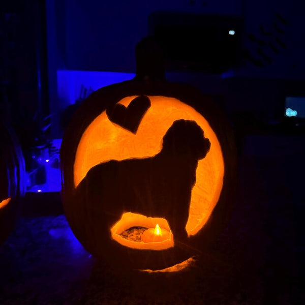 Lakin carved pumpkin